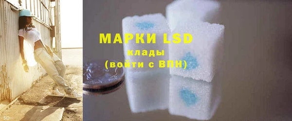 мдпв Вяземский
