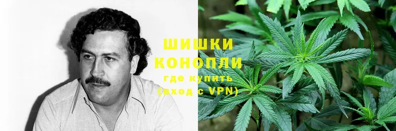 Конопля White Widow  Неман 